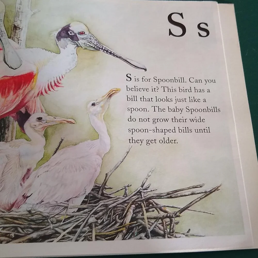 The Bird Alphabet Book by Jerry Pallotta New